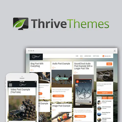 ThriveThemesStoriedWordPressTheme.jpg.webp