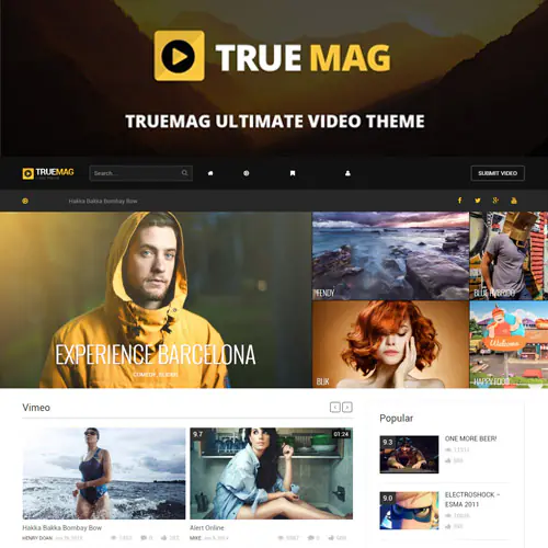 TrueMag-WordPressThemeforVideoandMagazine.jpg.webp