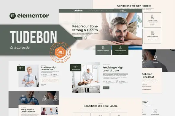 Tudebon-ChiropracticPhysiotherapyElementorTemplateKit.jpg.webp