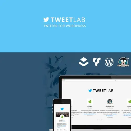 Tweetlab-TwitterSliderUsercardforWordPress.jpg.webp