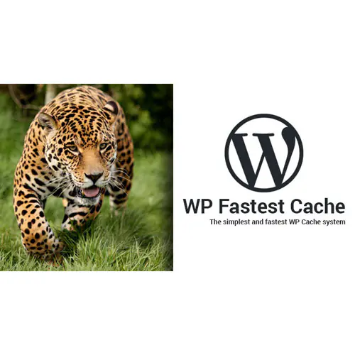 WPFastestCacheWordPressPlugin-Premium.jpg.webp