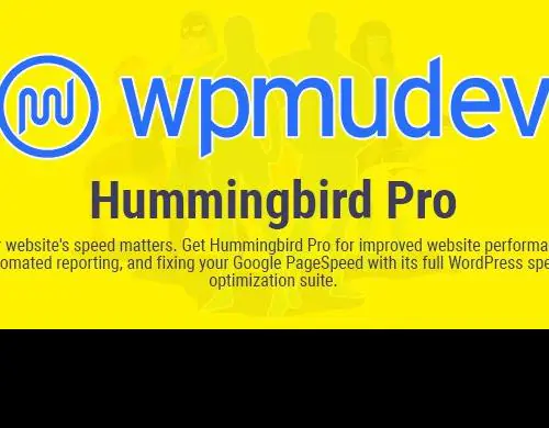 WPMUDEV-HummingbirdPro-WordPressSpeedOptimizationPerformancePlugin.jpg.webp