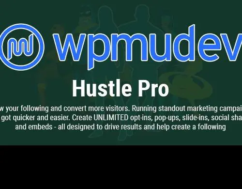 WPMUDEV-HustlePro-GrowYourFollowingConvertMoreVisitors.jpg.webp