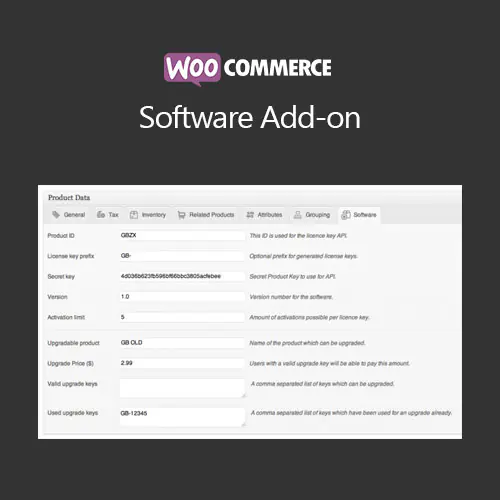 WooCommerceSoftwareAdd-on.jpg.webp