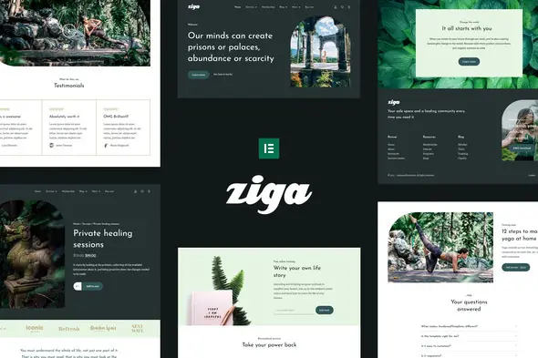 Ziga-HealerLifeCoachElementorTemplateKit.jpg.webp
